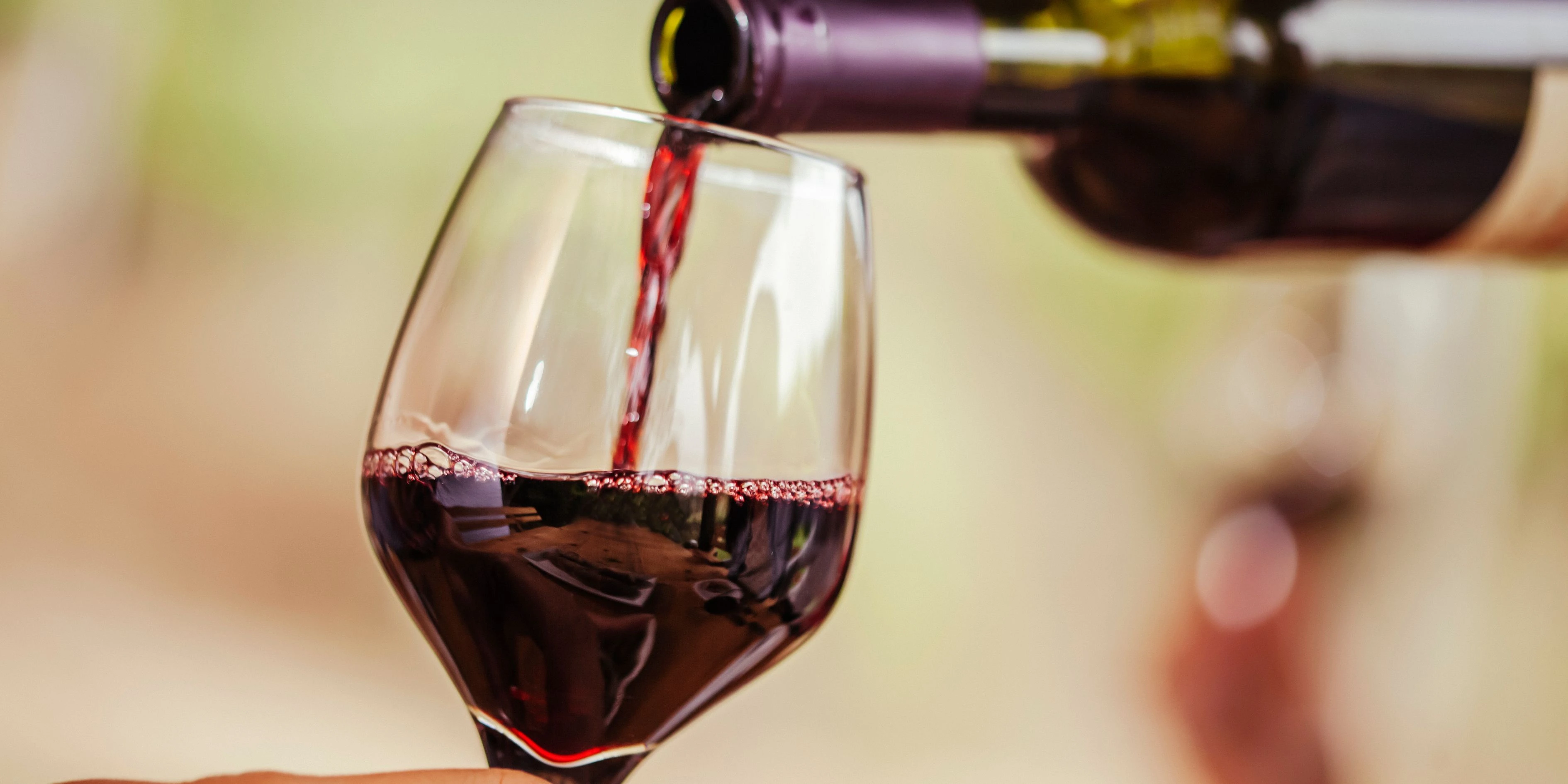 Vinhos Selecionados