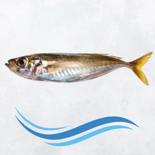 Carapau